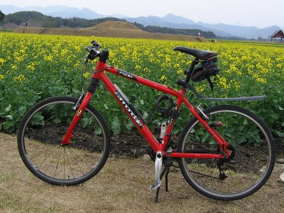 f500 cannondale