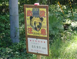 熊注意!