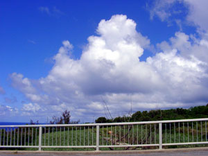 雄大積雲になりかけ?