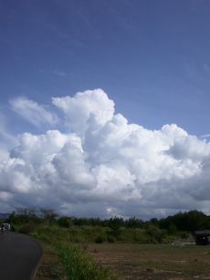 まだまだ真夏の雲模様。