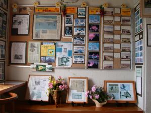 観察小屋の中は写真が一杯!