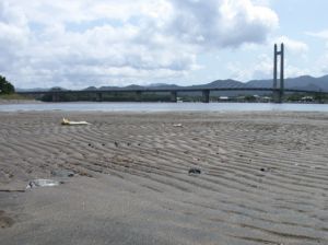 万之瀬川河口の干潟。向こうに見えるのはサンセットブリッジ。